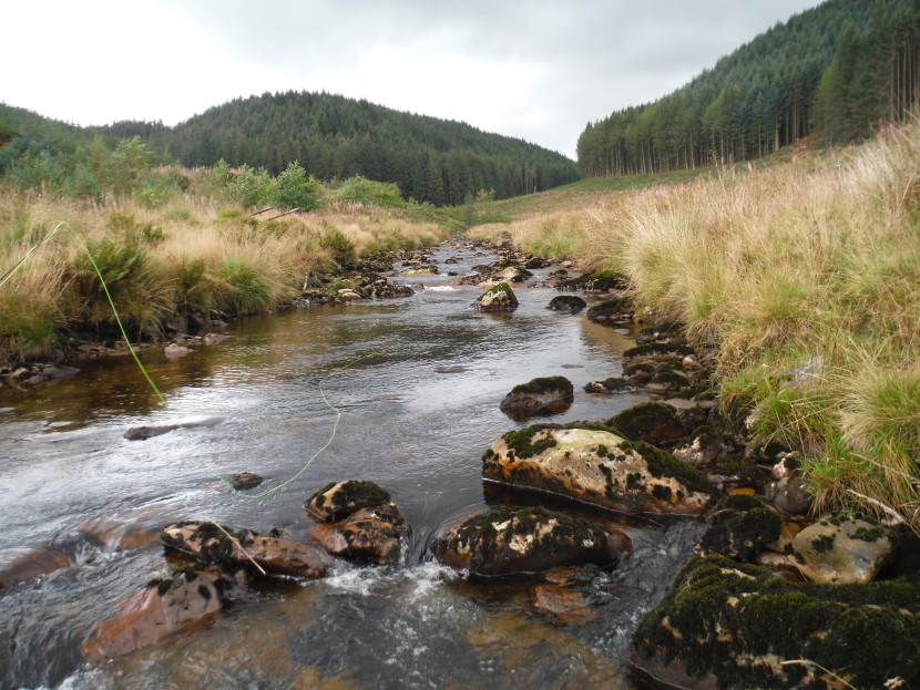 Top of the Irfon
